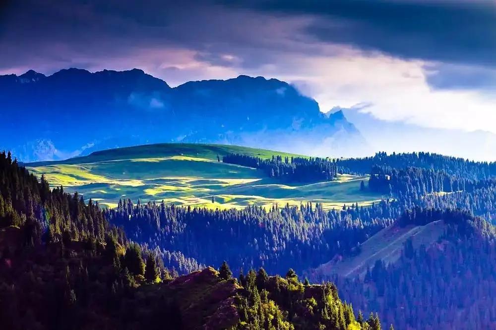 昌吉温泉推荐,打卡昌吉网红森林音乐喷泉