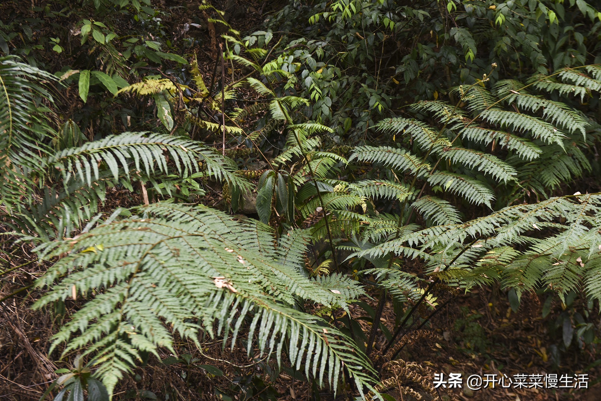 五一适合去哪旅游广东汕尾,五一去汕尾好玩地方
