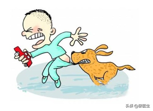 3岁孩子被狗狗咬伤该怎样办,狗咬伤小孩该怎样赔偿