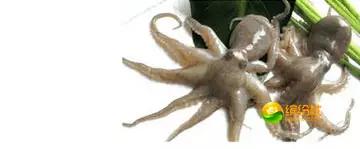 舟山海鲜攻略2天1晚住宿自由行,舟山最好的海鲜