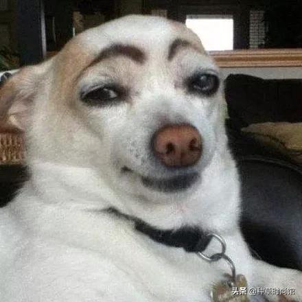 网红爆款防水眉笔好用吗,8支网红眉笔测评好用到爆的才9块9