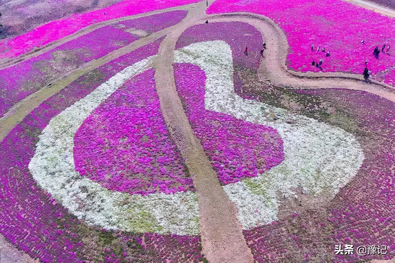 平顶山散装袋装啤酒,平顶山散装水泥运输