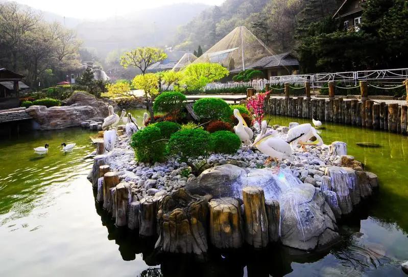 大连四星级景区现状,大连景区什么时候恢复开放