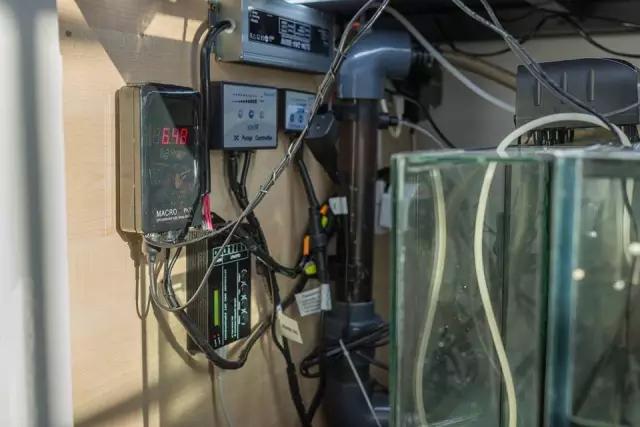 本色水景水草造景培训,本色水景水草培训