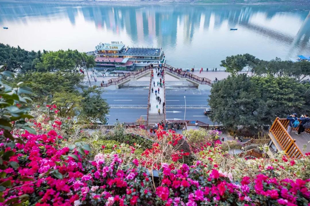 重庆北碚清明节踏青好去处,重庆巴南踏青一日游最佳攻略