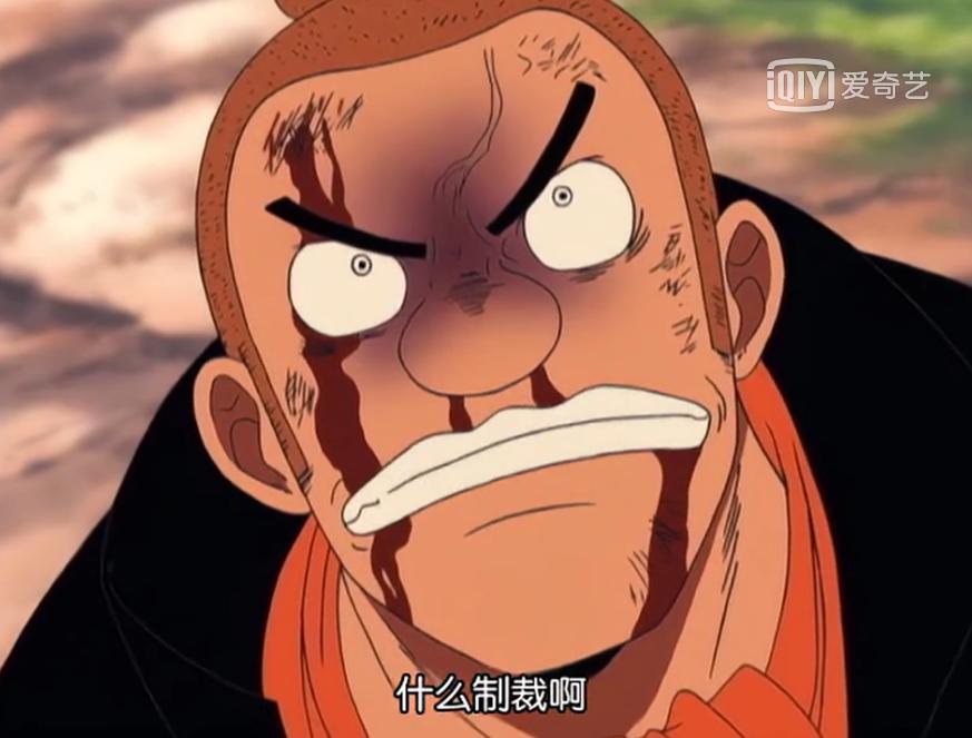 海贼王妮可罗宾经典热血语录,海贼王第一话到第100话