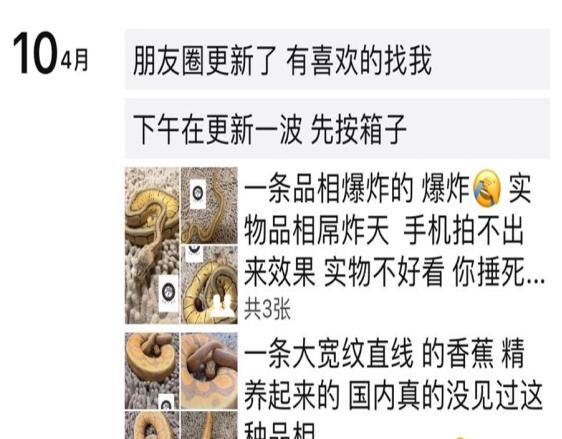 微信账号什么情况下会被永久封号,微信封号几次会永久封号