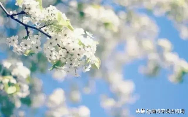 颠覆认知的古诗,颠覆认知脑洞大开的语句