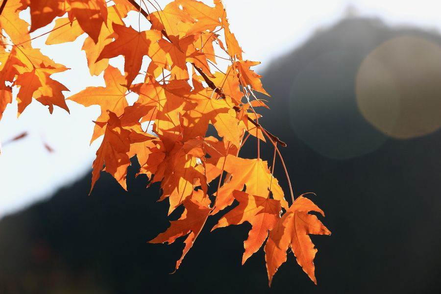 电热毯断电后能折叠吗,电热毯升温就断电怎么处理