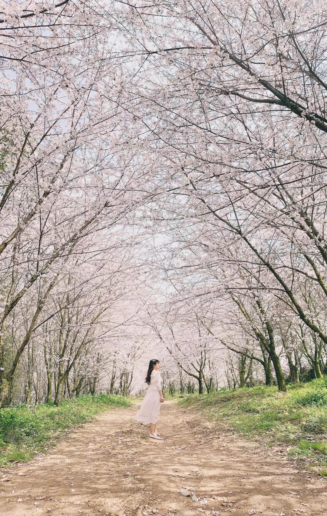 新手iphone必调设置,苹果自带相机拍摄技巧