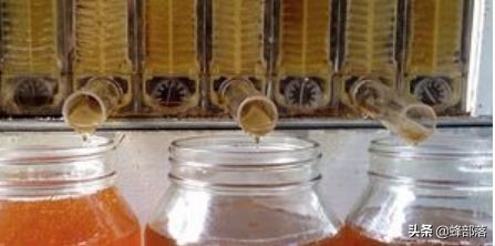 蜂箱低价,全网最便宜蜂箱