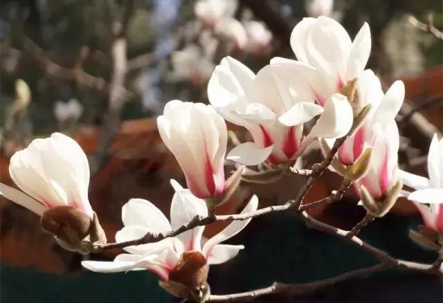 沈阳周边游4天短途旅游,沈阳周边省份游2-3天短途旅游