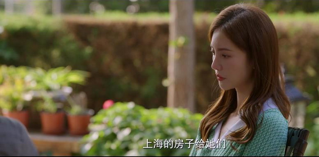 北辙南辕网剧,电视剧北辙南辕在哪播出