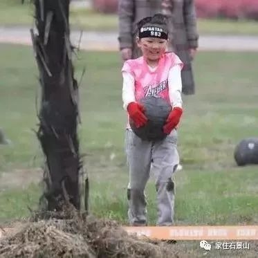 钃濆ぉ娴疯穬鍙岃骞煎効鍥寳浜煶鏅北,鐭虫櫙灞卞弻璇辜鍎垮洯