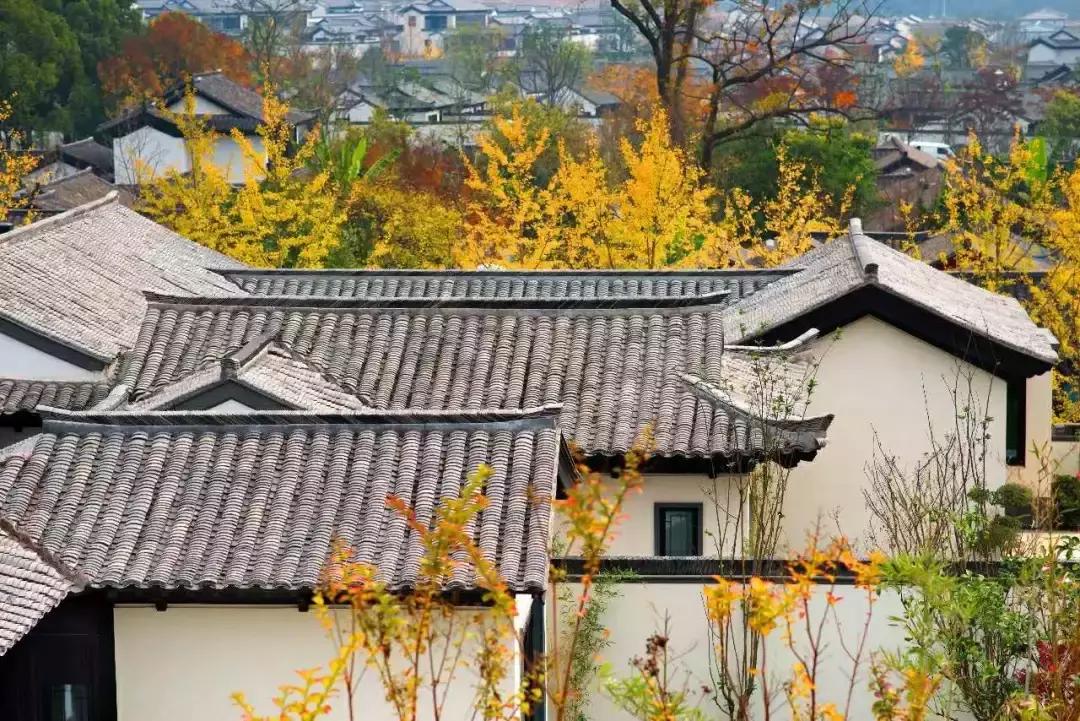 为什么绿城这么好,为什么绿城的房子抢手