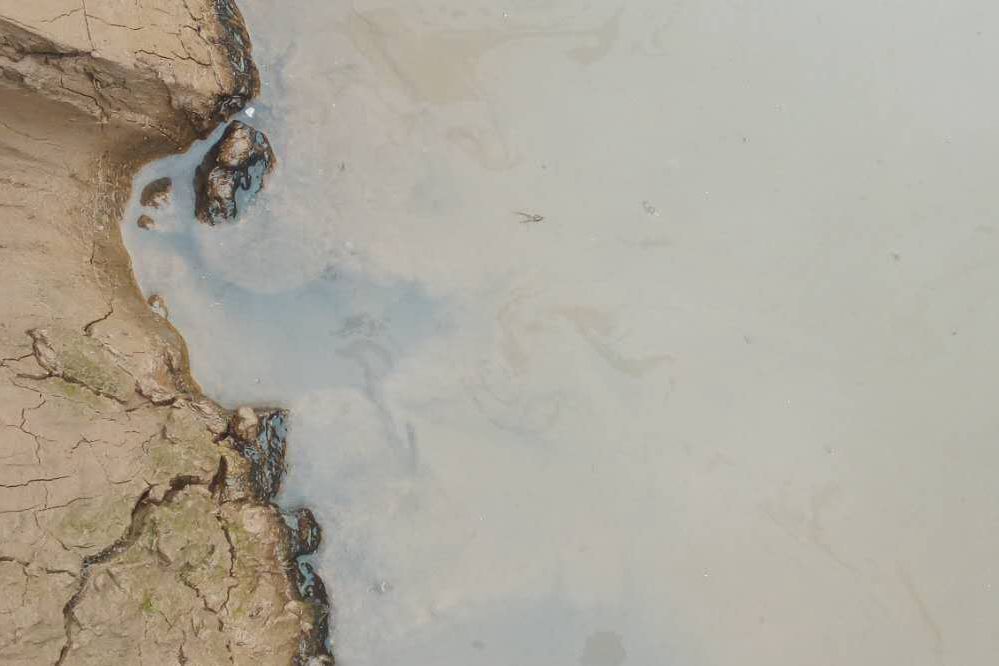 鱼塘油膜水怎么处理,养殖水体油膜多是什么原因造成的