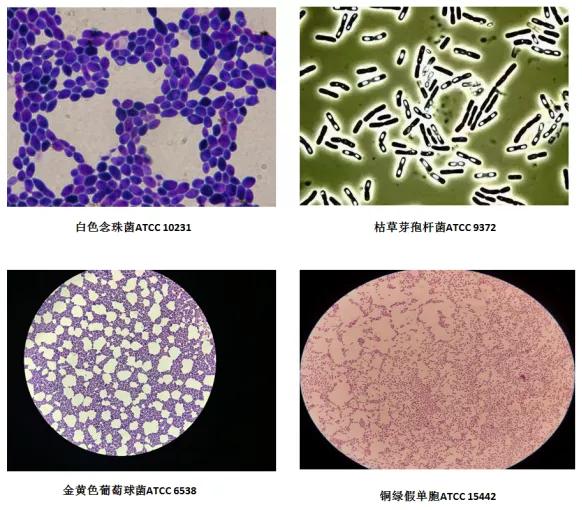 紫外线杀菌灯的正确使用方法,20w紫外线灯杀菌效果