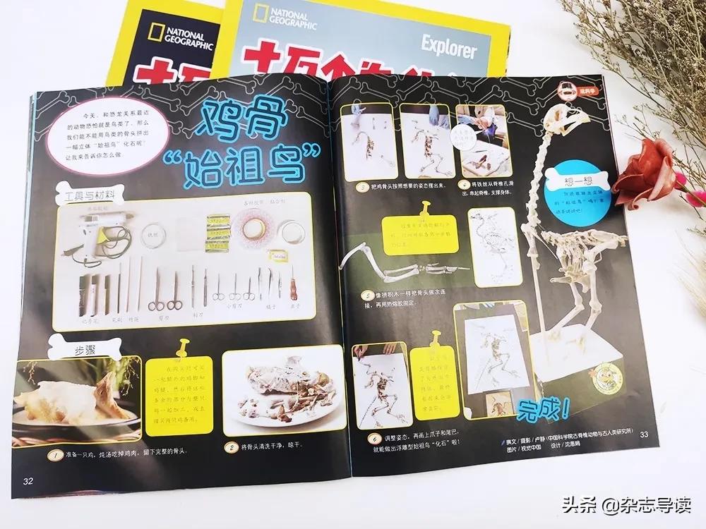 孩子必读的科普读物,哪些适合小学生看的科普杂志