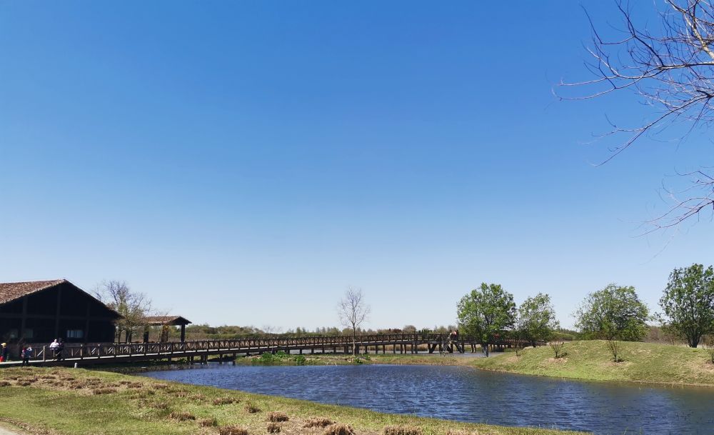 崇明岛东滩湿地公园附近美食,崇明岛东滩湿地公园