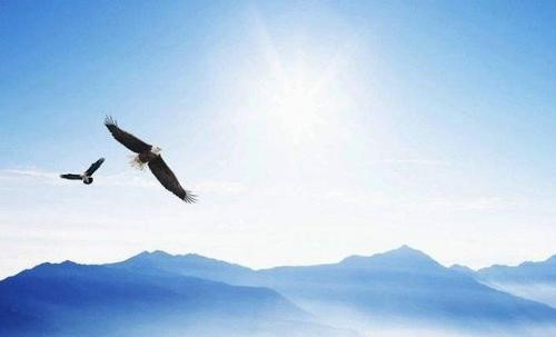 拼多多无货源店现在怎么运营,拼多多无货源模式开店怎么样