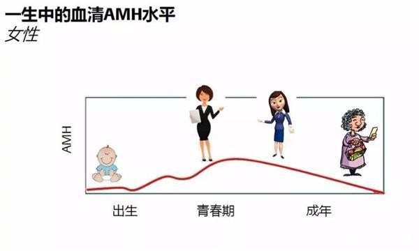 amh测的是卵子还是卵巢功能,amh值怎么判断多囊