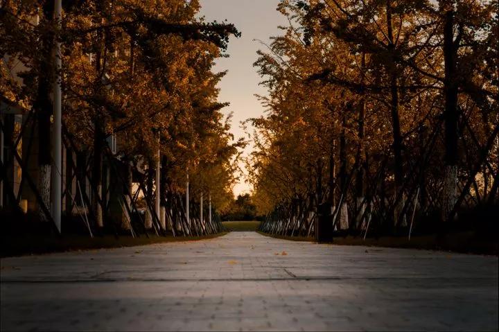 昆山杜克大学简介,江苏昆山杜克大学硕士