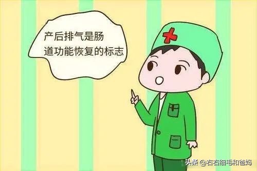 剖腹产后快速排气小技巧,剖腹产后如何排气比较快