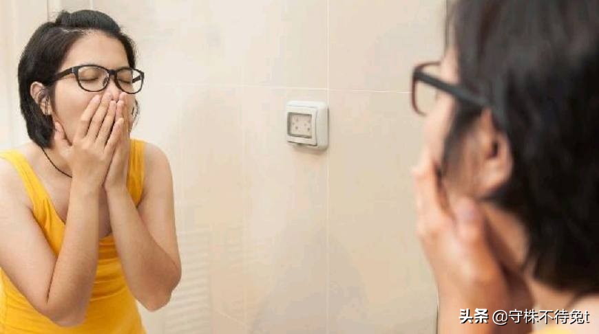 100个冷知识是什么,100万个冷知识