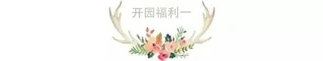 东南花都花博园景观,东南花都花博园