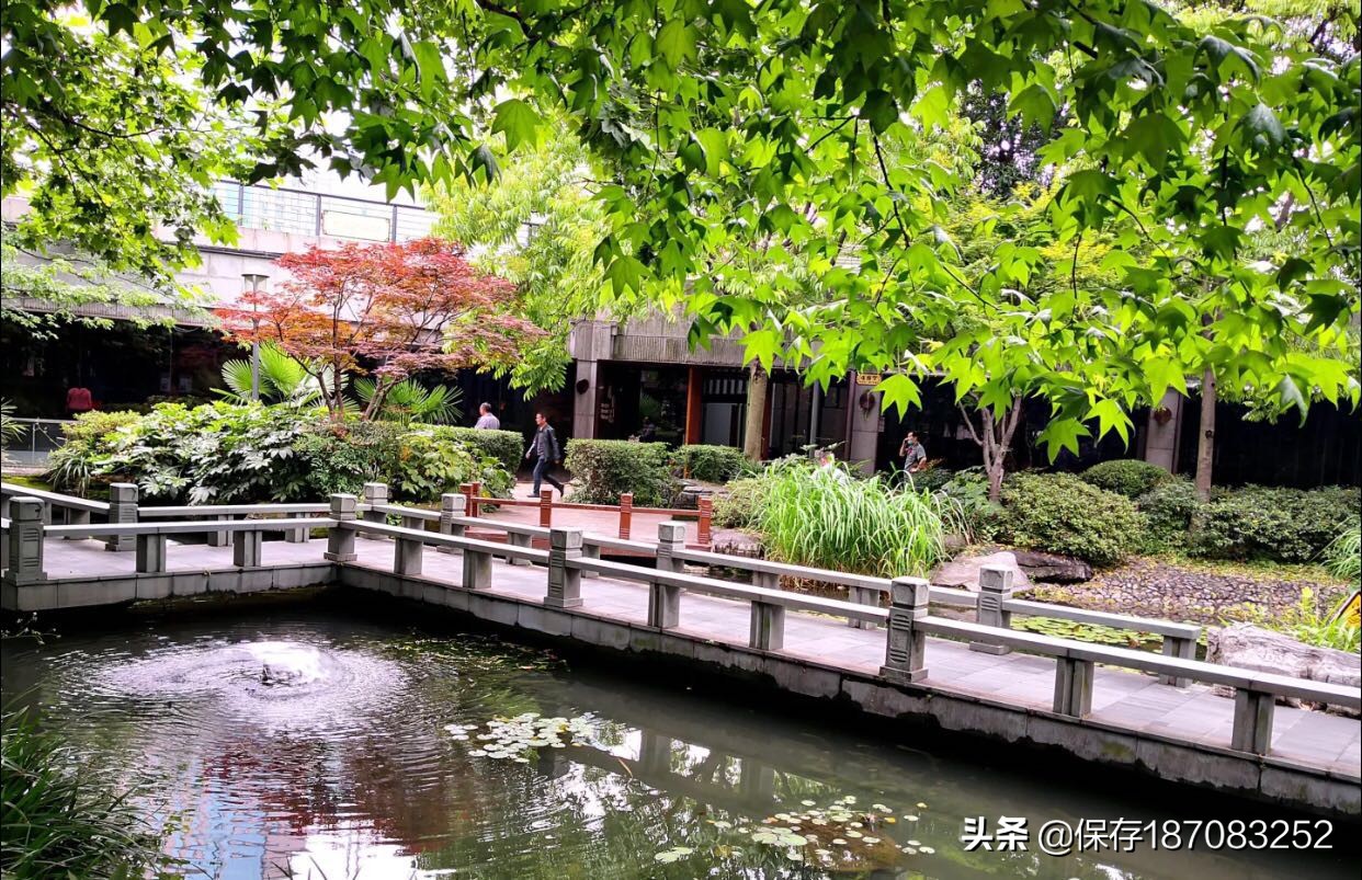 上海黄浦公园潮汐表下载,上海黄浦公园