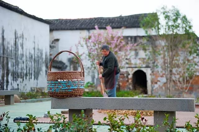 除了豆腐还有什么豆制品,除了豆腐汤还有什么汤好吃