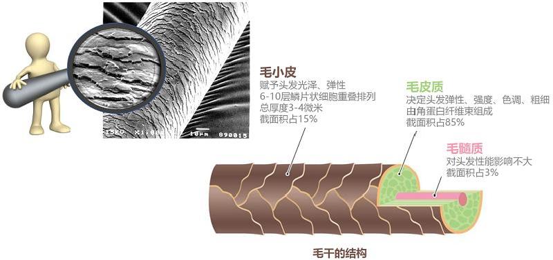受损发质推荐护发精油,受损头发用哪款护发精油比较好