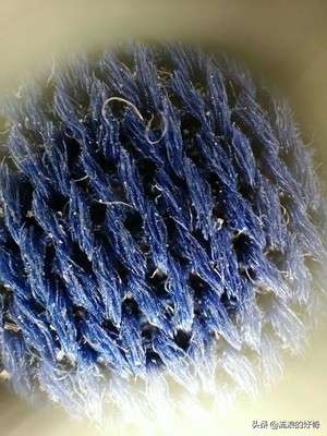 oppofindx3pro显微镜拍螨虫,oppofindx3显微镜可以看螨虫吗