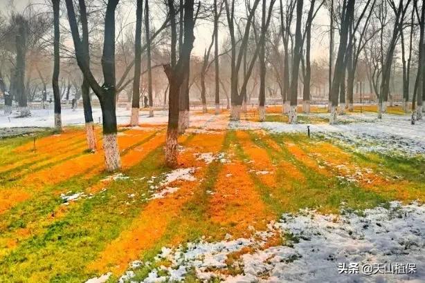 乌鲁木齐90后的南门回忆,乌鲁木齐人民公园记忆