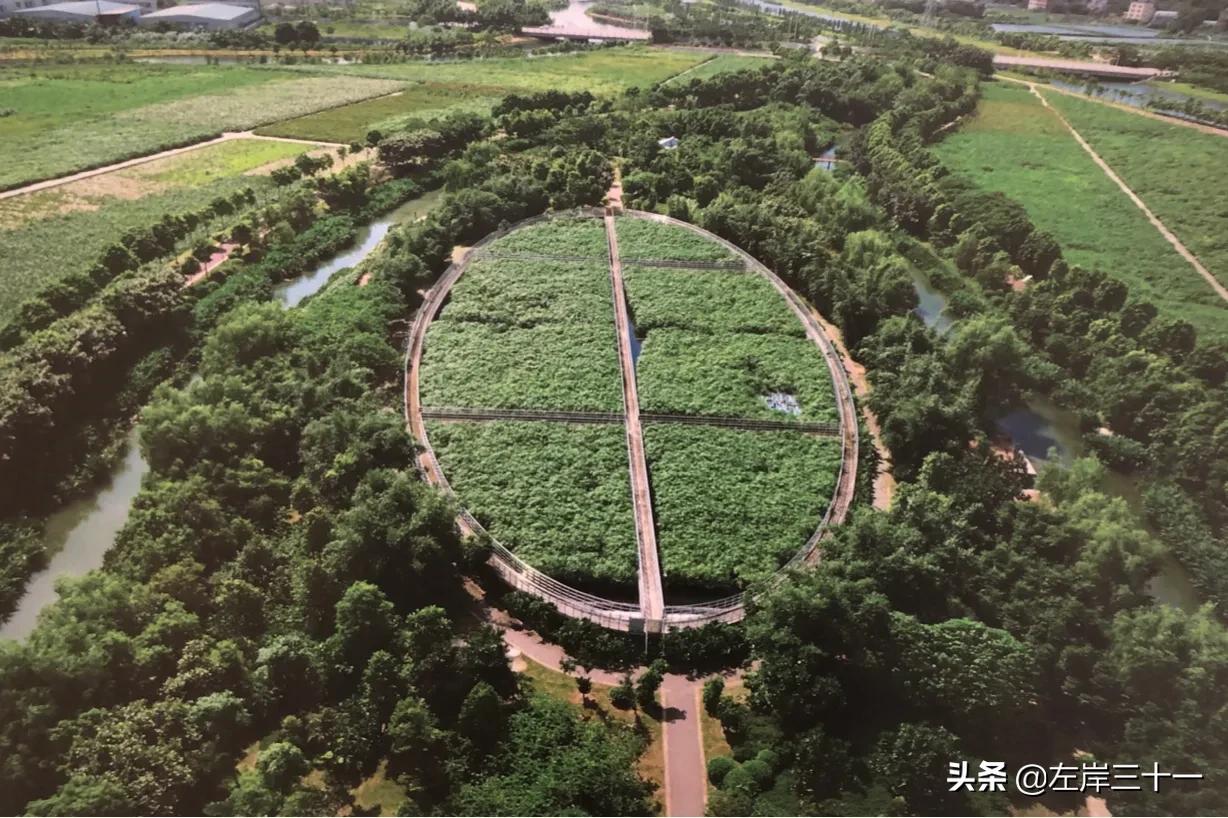 东莞湿地生态修复处理后效果,东莞生态园中央水系