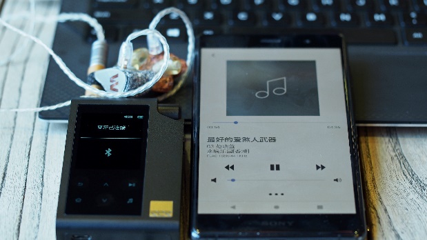 鍘熷瓙铓傝殎2020,hifimanr2r璇勬祴