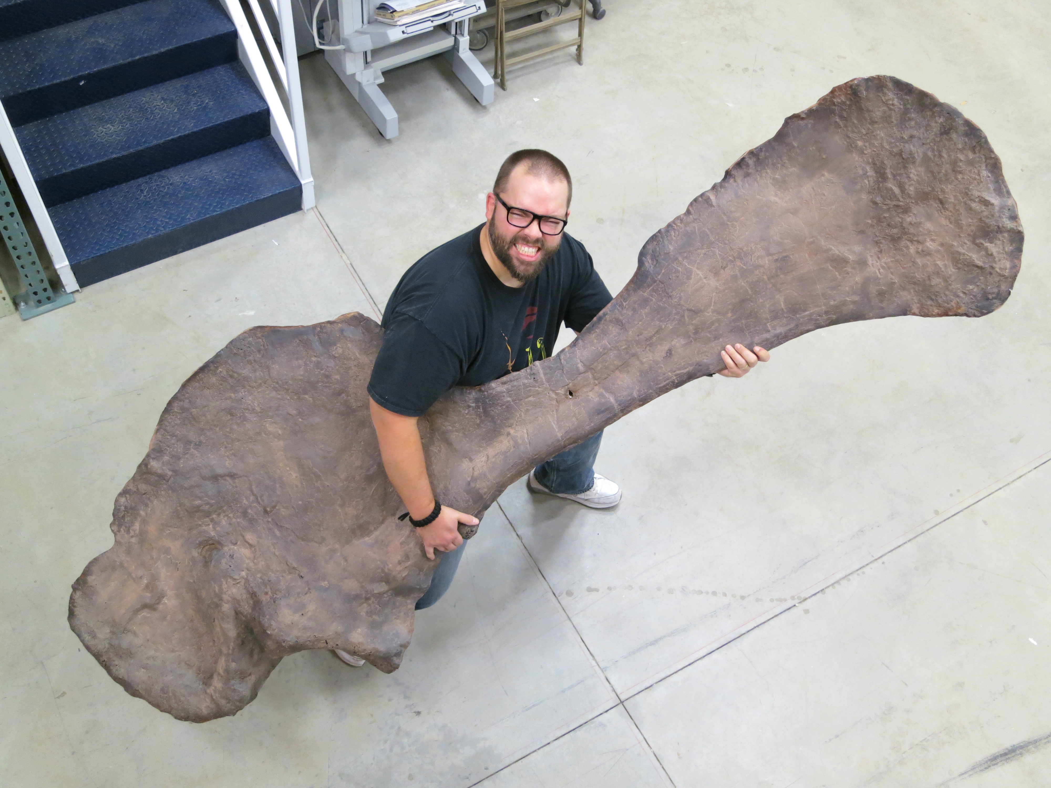 暴龙类恐龙体型排行,暴龙是世界上最厉害的恐龙吗