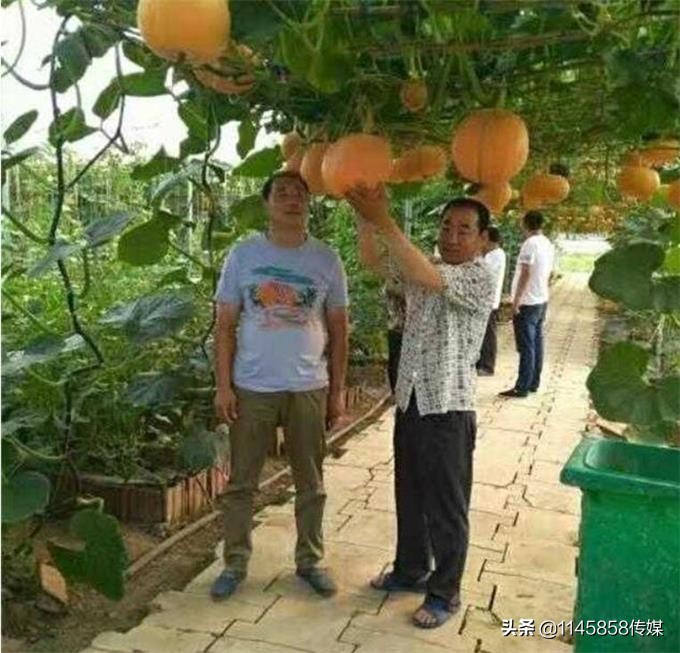 承德七家农家温泉,承德隆化七家湾温泉