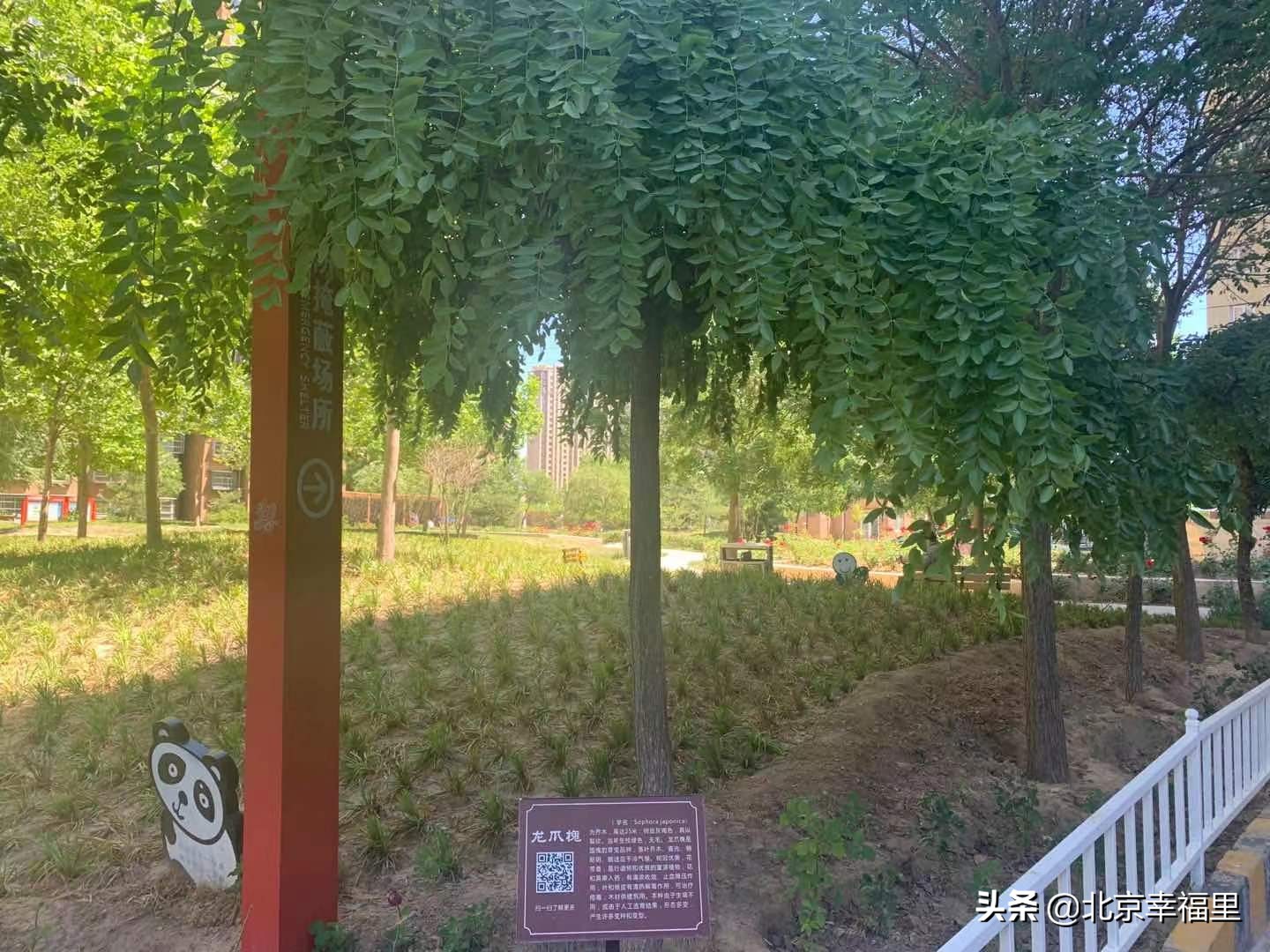 大悦城附近包含哪些小区 (大悦城最好小区图)