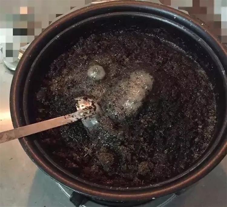 泥炭土发霉长毛,多肉土上发霉是怎么回事