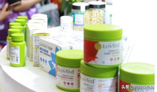 猫咪吃什么可以养颜美毛,猫咪营养补充剂防掉毛