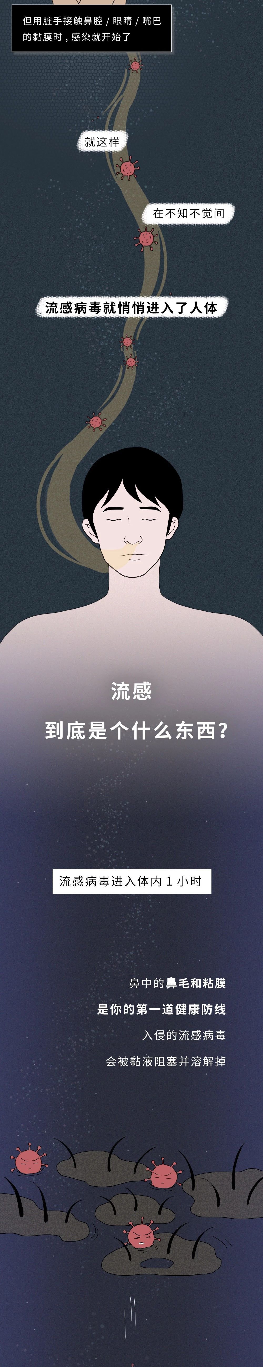 一张图读懂流感病毒的真正可怕之处