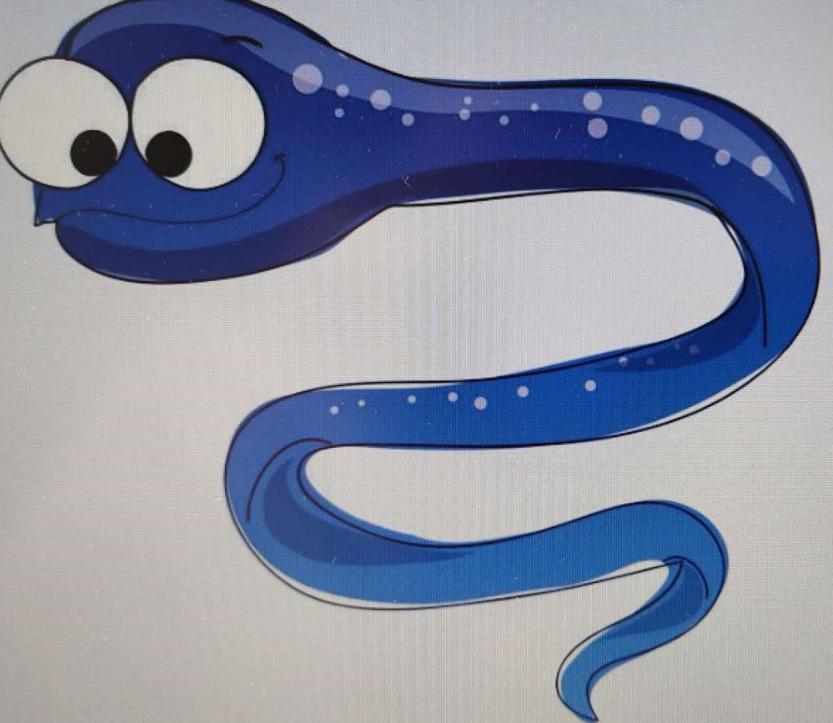 电鳗为什么发电快,电鳗为什么会发电简单的回答