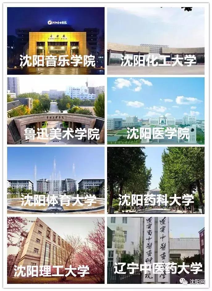 我叫沈阳,我叫沈阳话