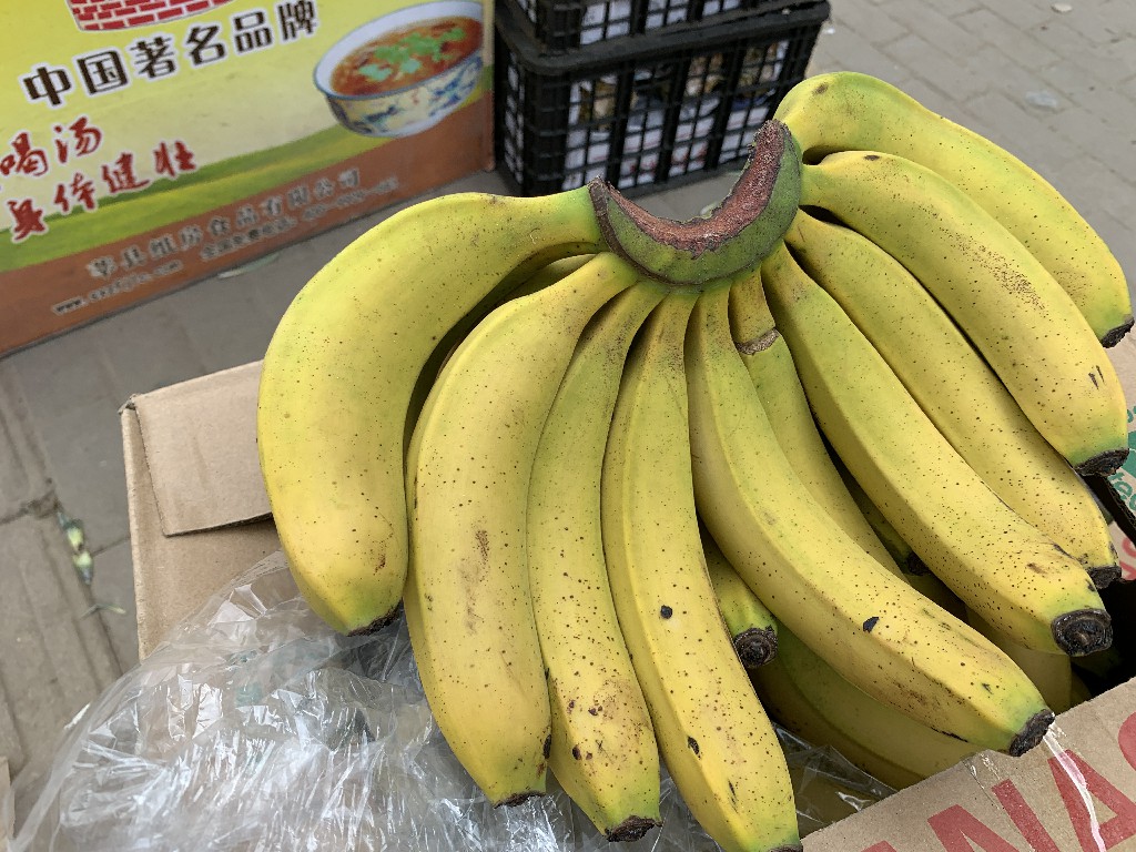 买香蕉买大的好还是小的好,买香蕉时挑直的还是弯的老果农