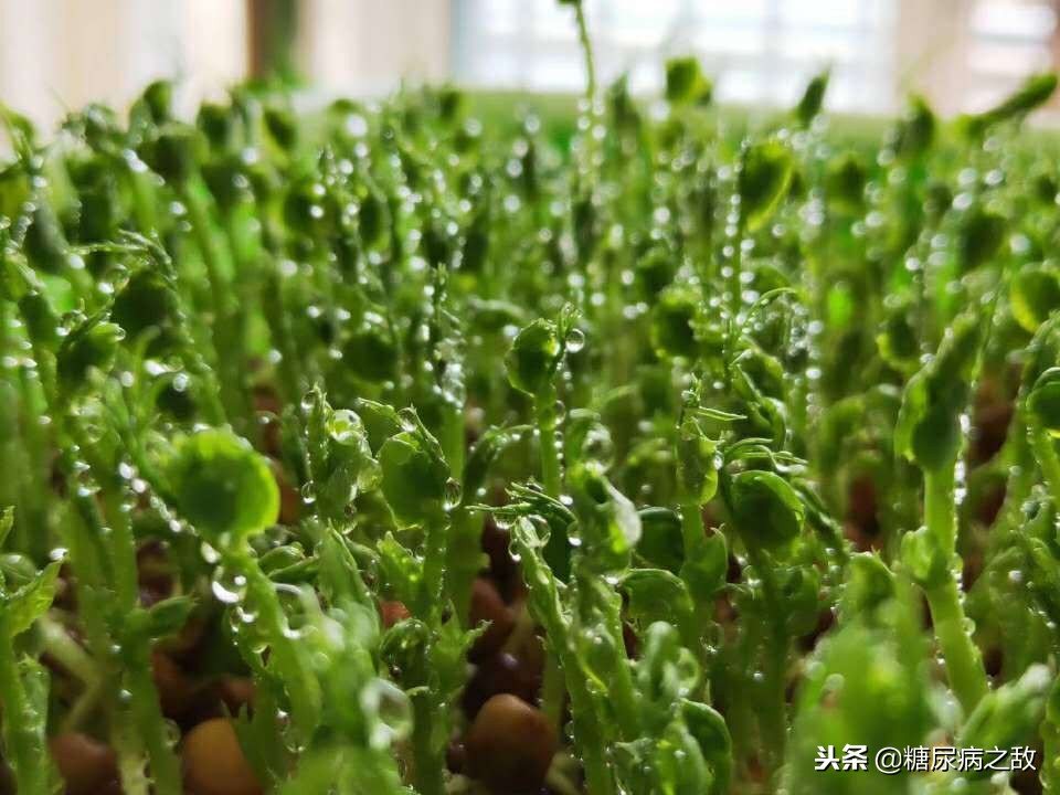 一型糖尿病必须一天打四针,患糖尿病31年每天吃20多种东西