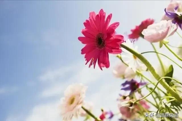 高考热词最新消息,高考十大热点素材