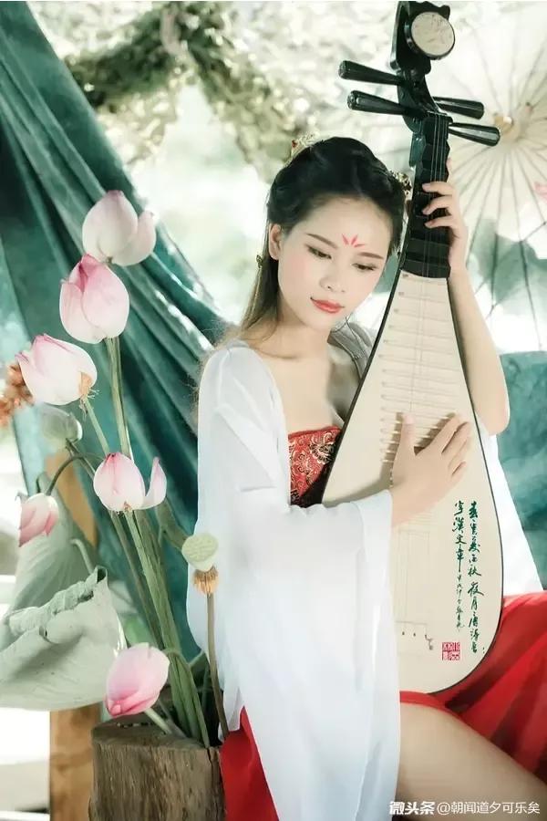 喜欢苏东坡的人经典语录,喜欢苏东坡的理由