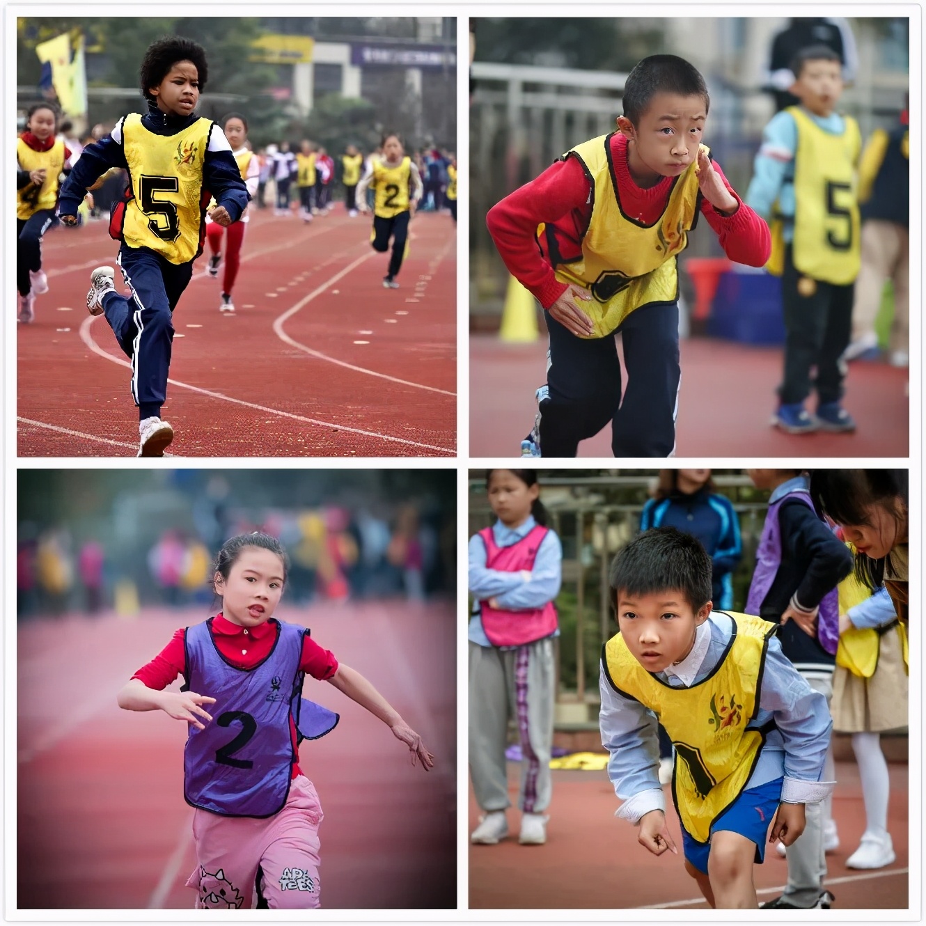 重庆小学趣味运动会,重庆九龙小学运动会