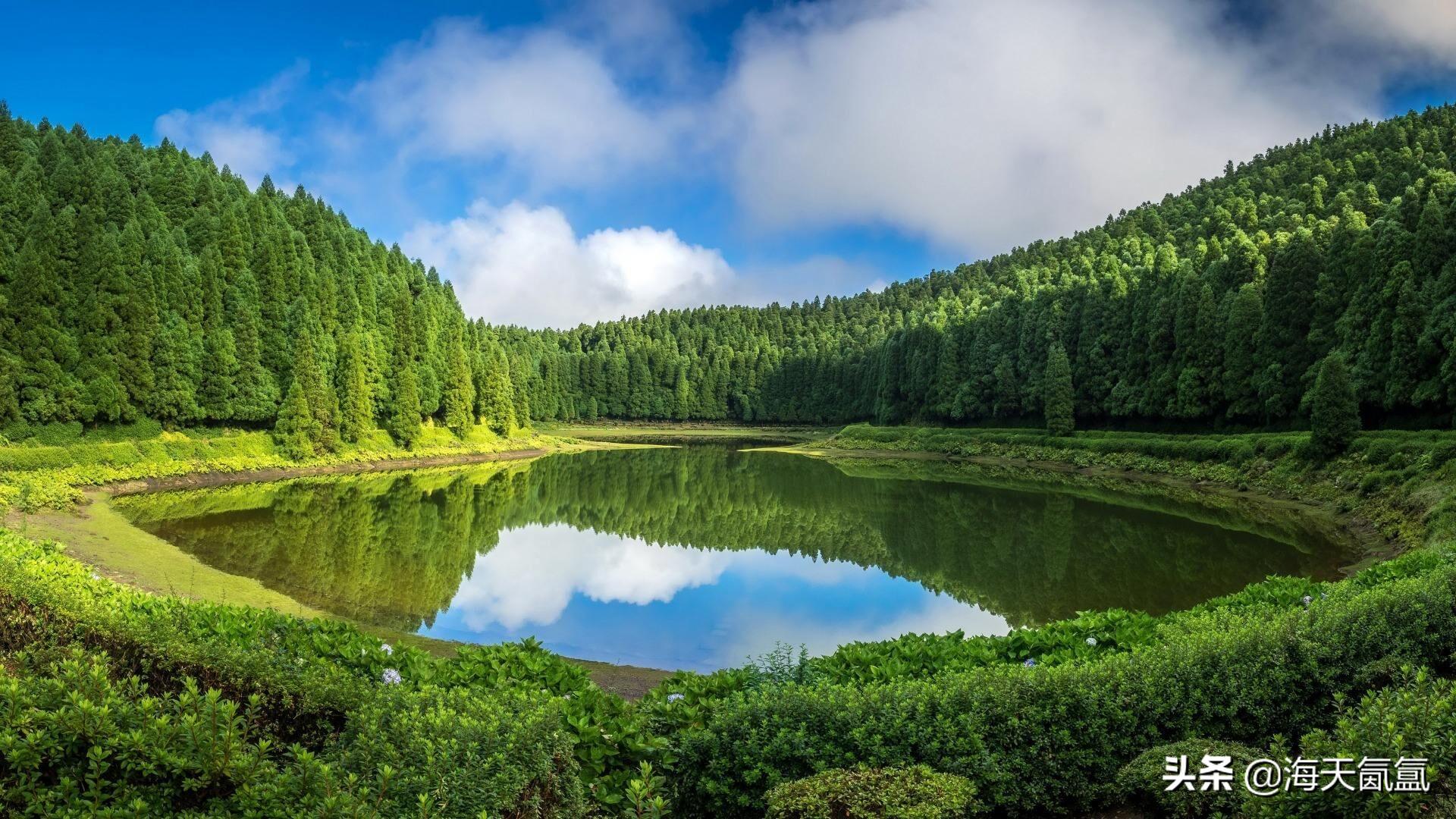 闽南小土炉,烧驴粪的小土炉